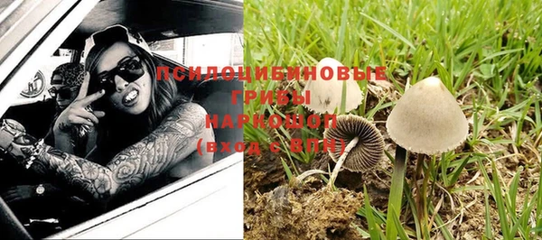 мет Аркадак