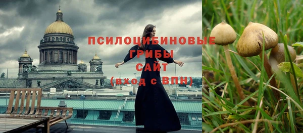 соль курить ск Арсеньев