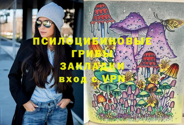 мет Аркадак