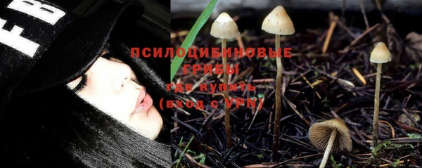 мет Аркадак