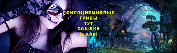 не бодяженный Няндома
